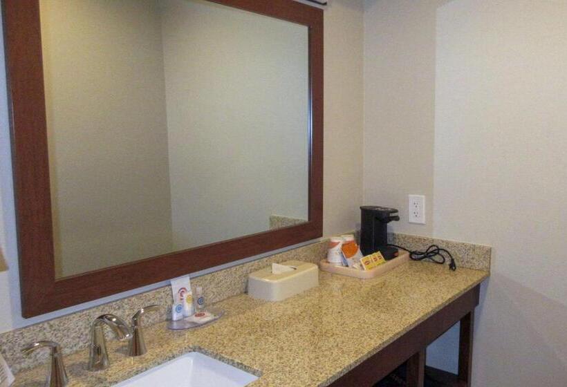 스탠다드 룸 킹사이즈 침대, Comfort Inn Bishop