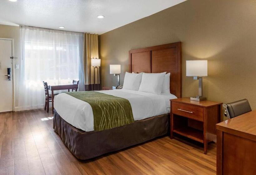 스탠다드 룸, Comfort Inn Bishop