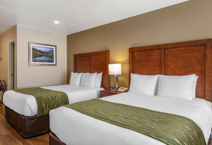 장애인을 위한 스위트, Comfort Inn Bishop