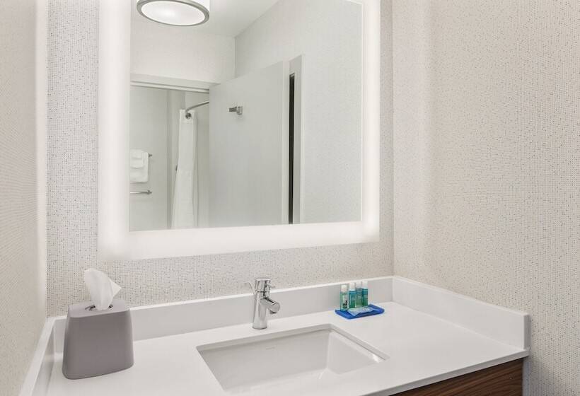 장애인을 위한 스위트, Holiday Inn Express Hotel Sacramento Airport Natomas By Ihg