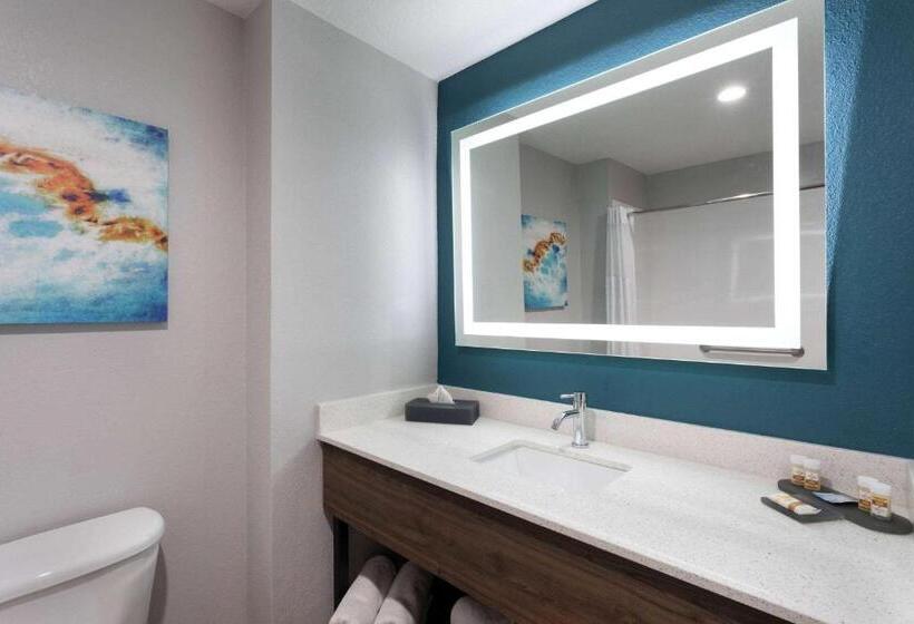 اتاق استاندارد, La Quinta By Wyndham Tampa Central