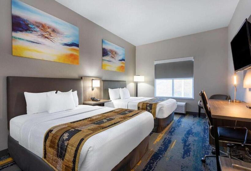 חדר סטנדרט, La Quinta By Wyndham Tampa Central