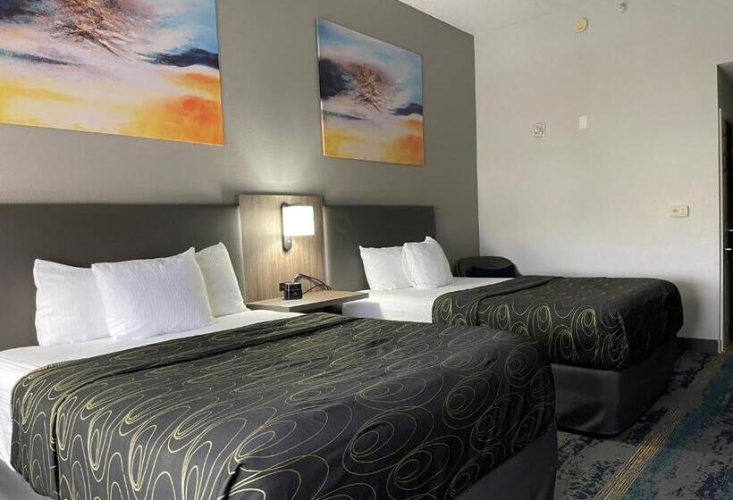 اتاق استاندارد, La Quinta By Wyndham Tampa Central