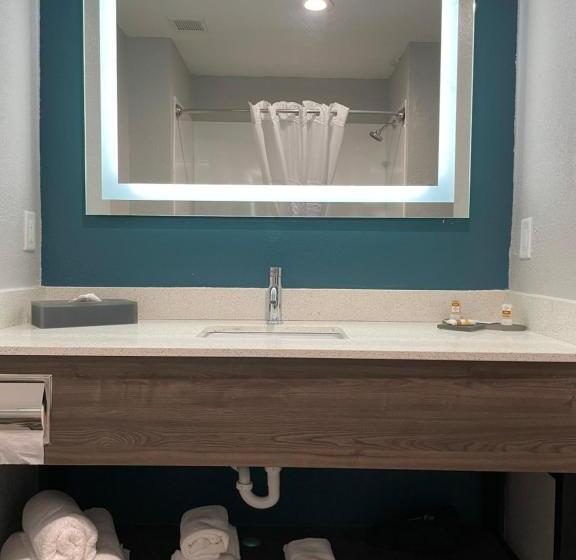 חדר סטנדרט, La Quinta By Wyndham Tampa Central