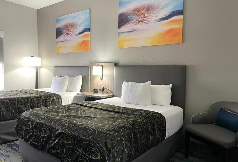 اتاق استاندارد برای معلولان, La Quinta By Wyndham Tampa Central