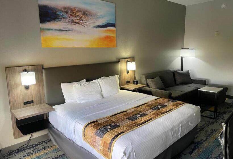 סוויטת ג'וניור, La Quinta By Wyndham Tampa Central