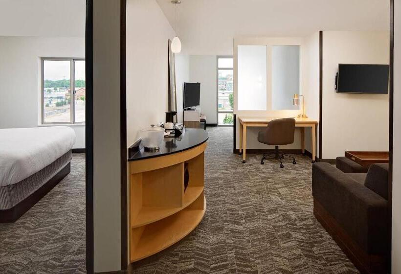 Люкс 2 Спальни, Springhill Suites By Marriott Green Bay