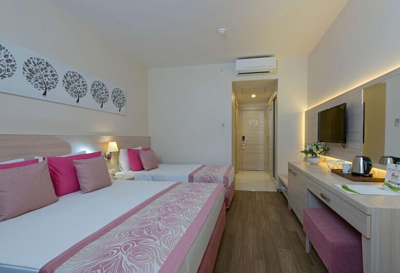 Номер Стандарт Трехместный, Can Garden Resort