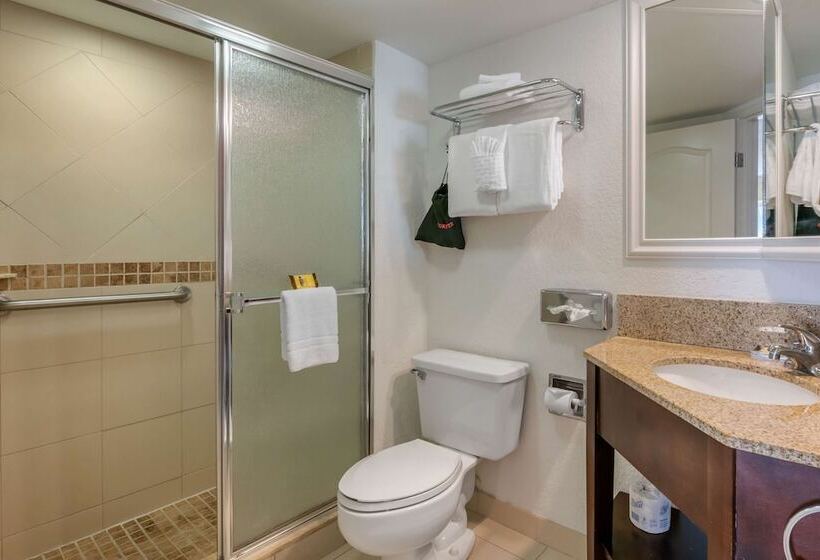 Люкс, Best Western Plus Palm Beach Gardens Hotel & Suites And Conference Ct
