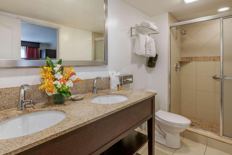 Номер Стандарт, Best Western Plus Palm Beach Gardens Hotel & Suites And Conference Ct
