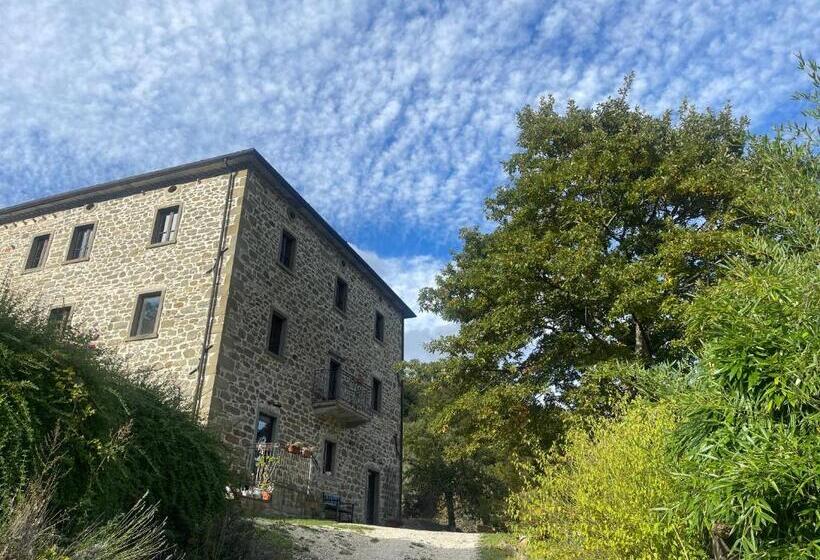 Апартаменты 1 Спальня, Bio Agriturismo Il Vigno