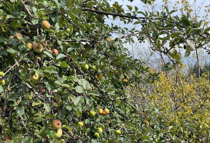 Номер Стандарт, Bio Agriturismo Il Vigno