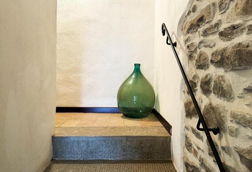 Студия Стандарт, Bio Agriturismo Il Vigno