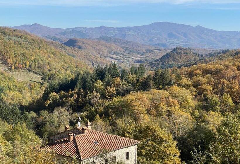 Люкс Superior, Bio Agriturismo Il Vigno