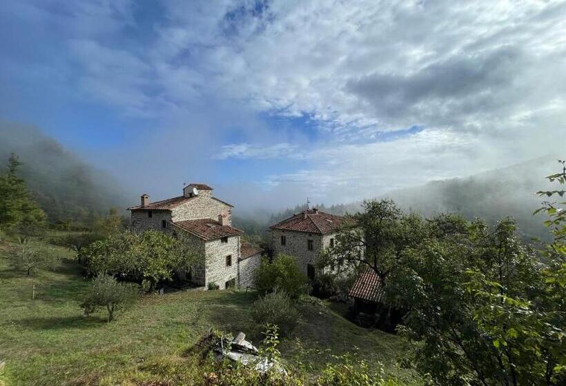 Апартаменты 1 Спальня Вид на Бассейн, Bio Agriturismo Il Vigno