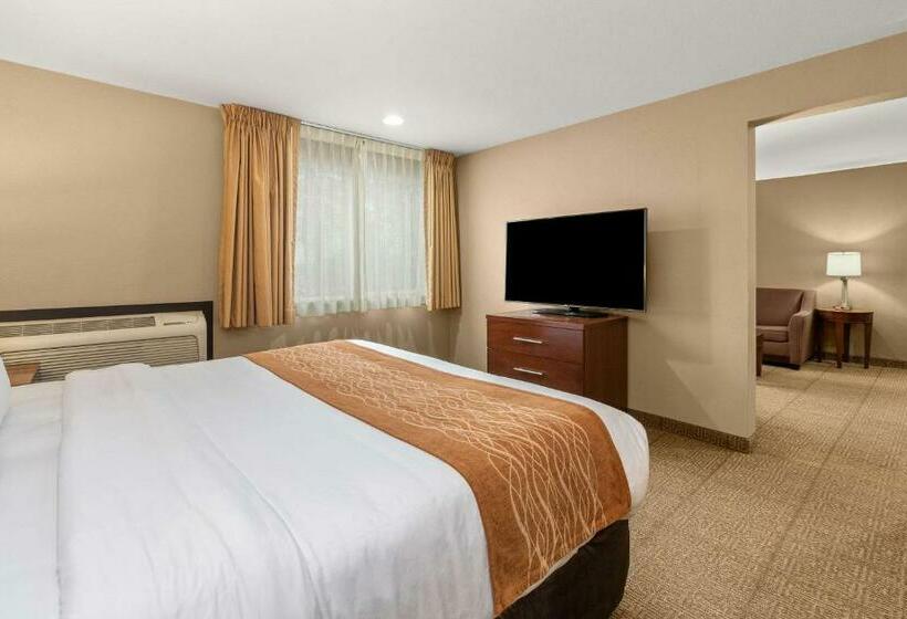 Стандартный Номер Кровать Кинг, Comfort Inn & Suites Beaverton   Portland West
