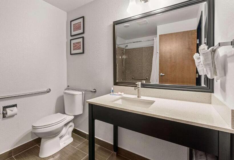 身障者適用スタンダードルーム, Comfort Inn & Suites Beaverton   Portland West