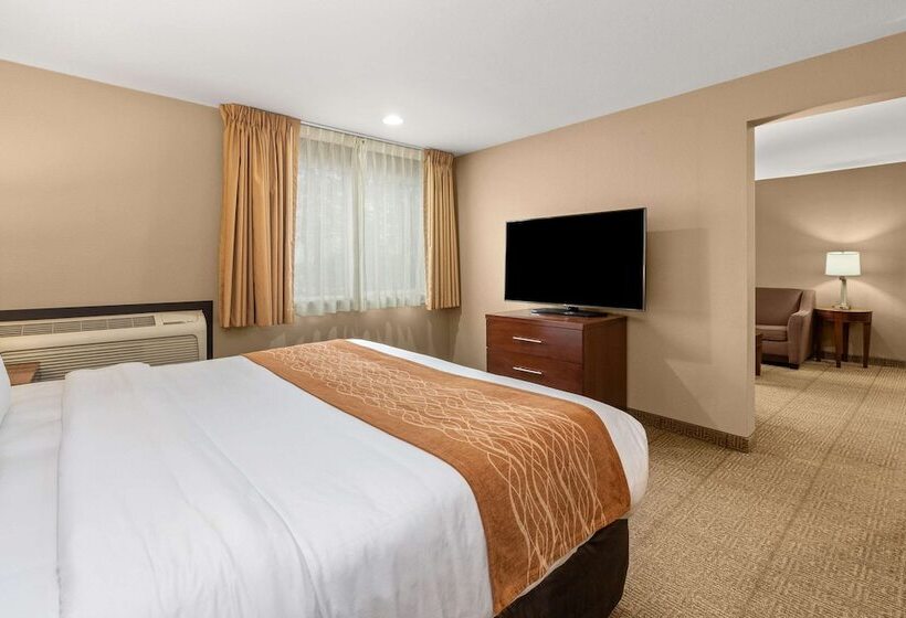 Люкс Кровать Кинг, Comfort Inn & Suites Beaverton   Portland West