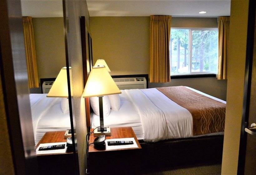 キングサイズベッドのスイートルーム, Comfort Inn & Suites Beaverton   Portland West