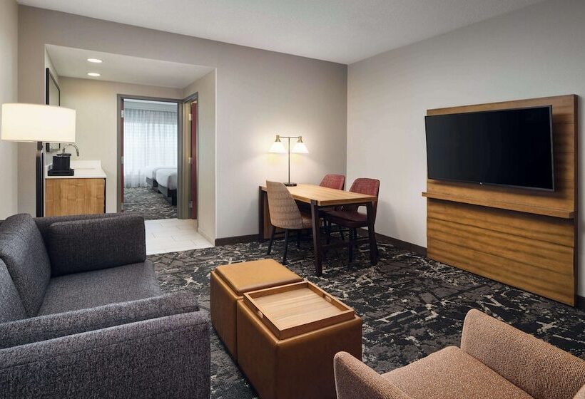프리미엄 스위트, Embassy Suites By Hilton Hampton Convention Center