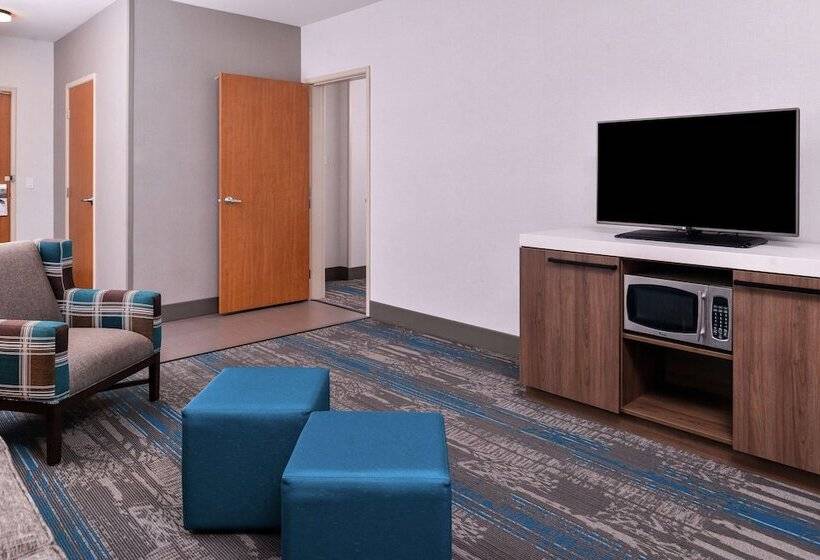 Номер Стандарт, Hilton Garden Inn Salt Lake City Downtown