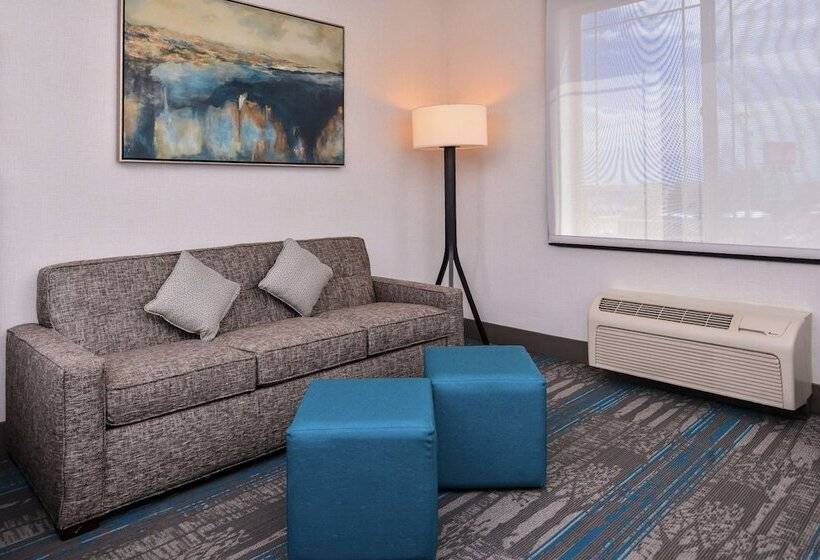 Номер Стандарт, Hilton Garden Inn Salt Lake City Downtown
