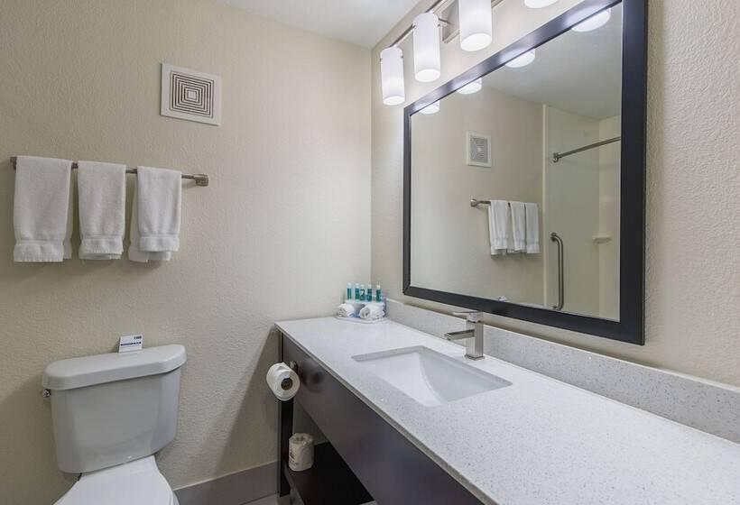 标准间, Holiday Inn Express Dandridge By Ihg