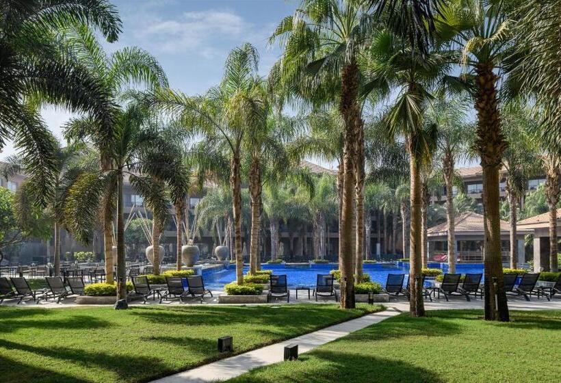 اتاق استاندارد, Dusit Thani Lakeview Cairo