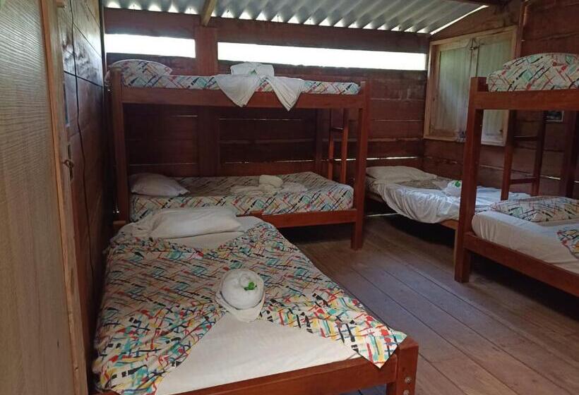 공동 객실, Casa Hostal Playa Coral