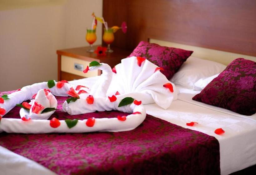 اتاق استاندارد سه نفره, Anitas
