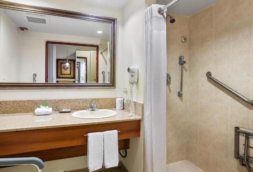 장애인을 위한 스탠다드 룸, Holiday Inn Panama Canal, An Ihg