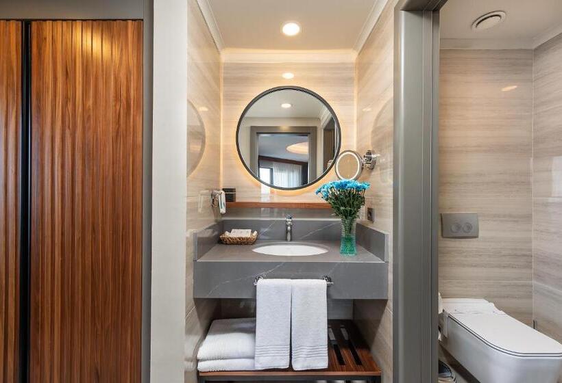 Номер Deluxe, Seaden Quality Resort & Spa Ultra All Inclusive
