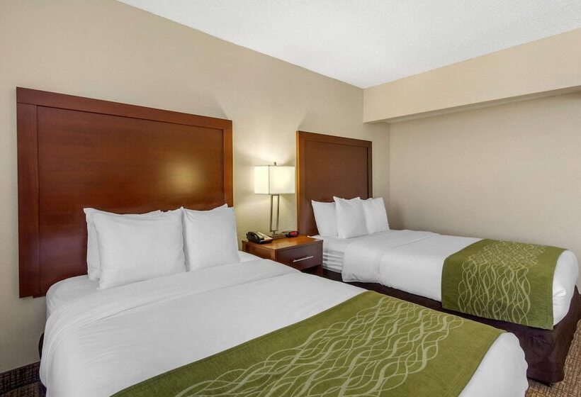스탠다드 룸 더블 침대 2개, Comfort Inn St Petersburg North