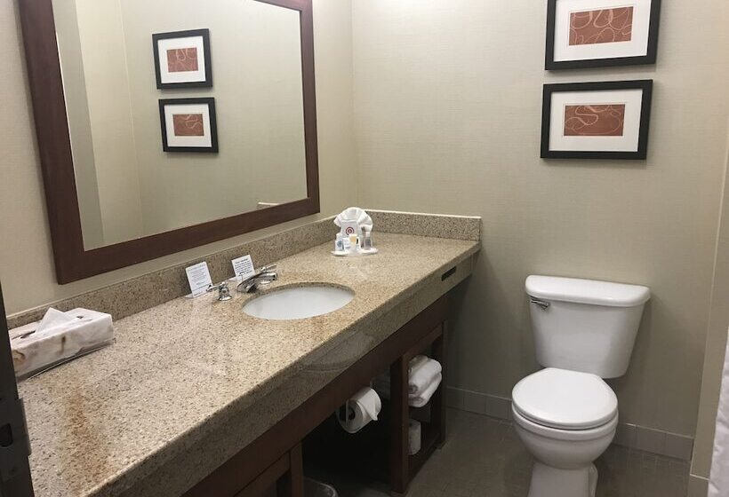 Люкс, Comfort Suites Coralville I80