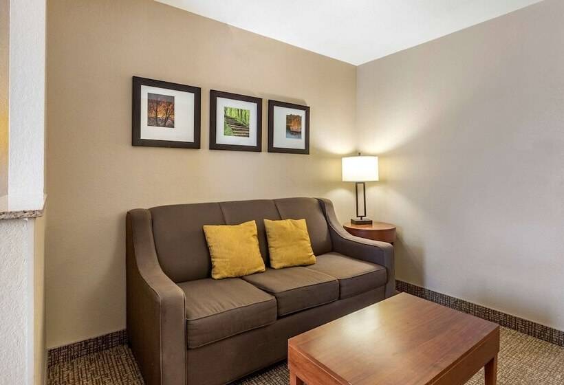 Люкс, Comfort Suites Coralville I80