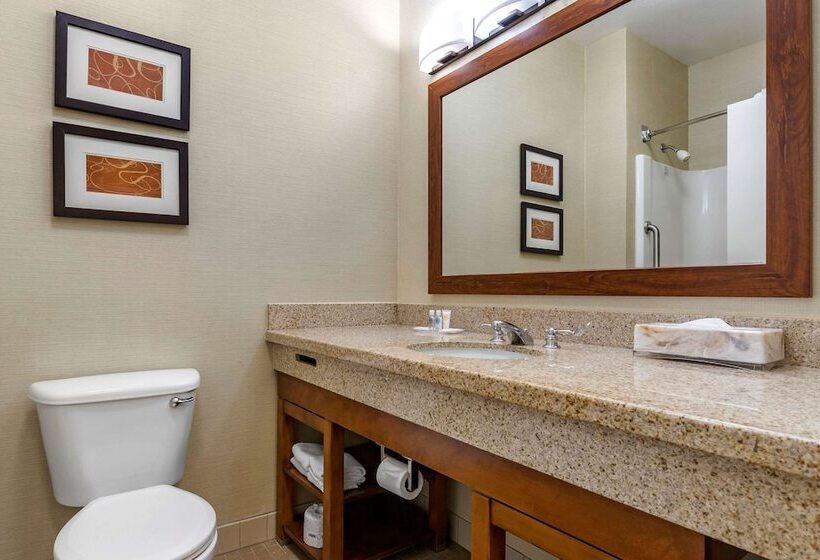 Люкс, Comfort Suites Coralville I80