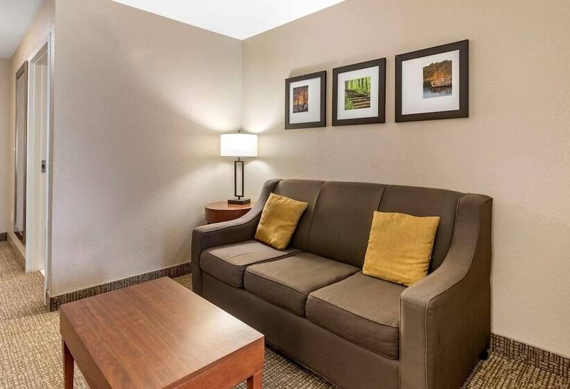 Люкс, Comfort Suites Coralville I80