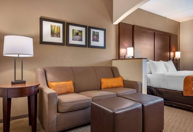 Номер Стандарт Кровать Кинг Адаптированный для Инвалидов, Comfort Suites Near Penn State