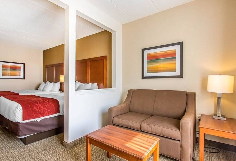 스위트, Comfort Suites