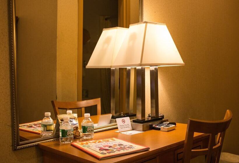 豪华房间, Econo Lodge Times Square