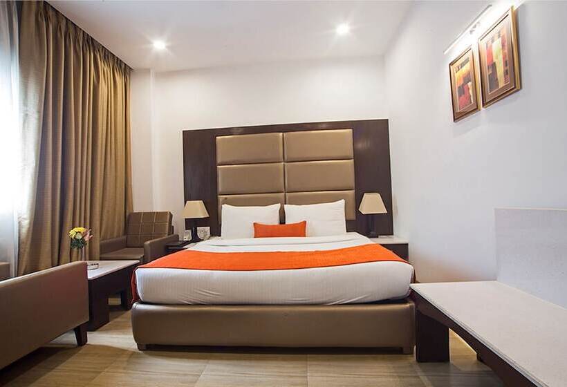 标准间, Shanti Palace Mahipalpur