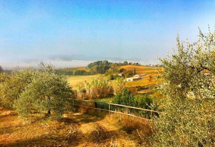 Апартаменты 1 Спальня, Agriturismo Fattoria Santa Vittoria