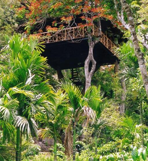 Дом 1 Спальня, Tranquil Resort   Blusalzz Collection, Wayanad   Kerala