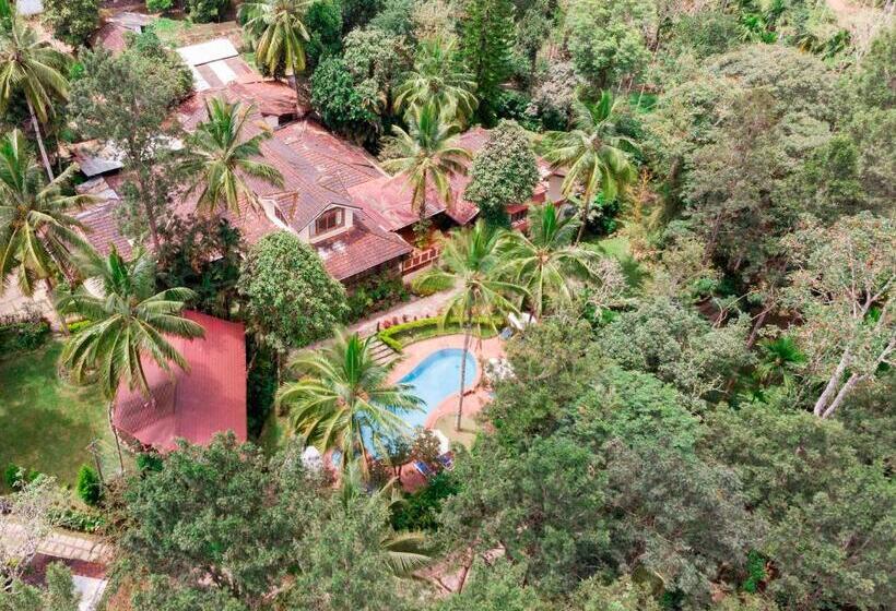 Люкс Повышенной Комфортности, Tranquil Resort   Blusalzz Collection, Wayanad   Kerala