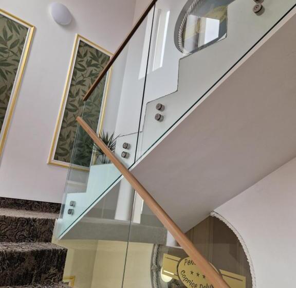 اتاق لوکس با چشم‌انداز شهر, Caprice Deluxe Accomodation