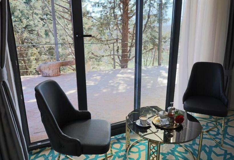 اتاق لوکس با چشم‌انداز, Mi Casa
