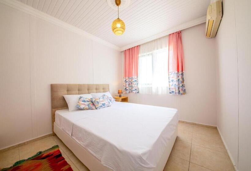 Quarto Estandar, Bhavana Gökova