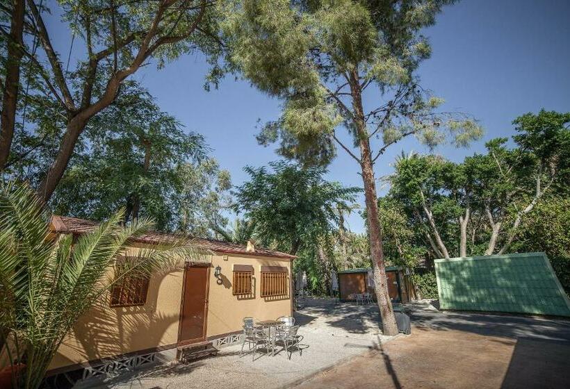 スタンダードバンガロー, Camping Las Palmeras