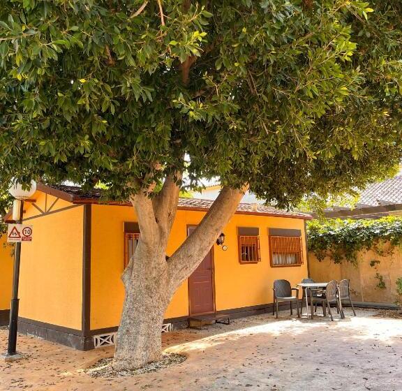 スタンダードバンガロー, Camping Las Palmeras