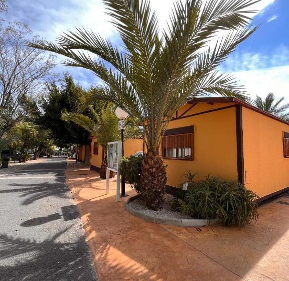 بانگلوی استاندارد, Camping Las Palmeras